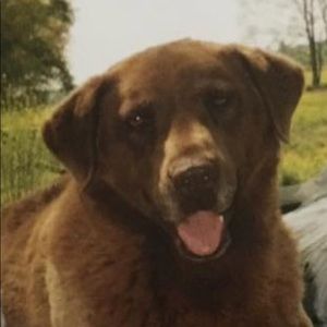 Meet your Posher, Rita